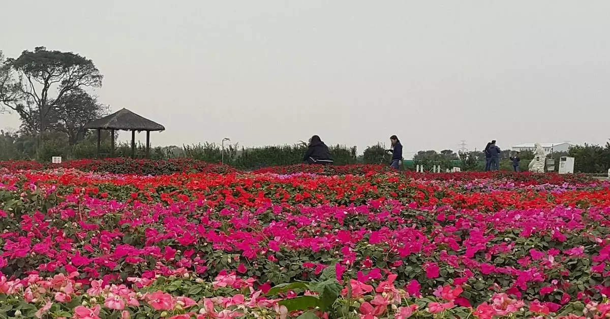 Chung-she Flower Garden