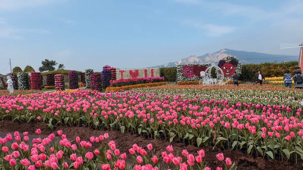  Zhongshe Flower landscape