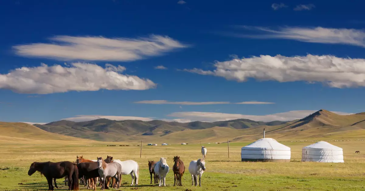 mongolia-grassland