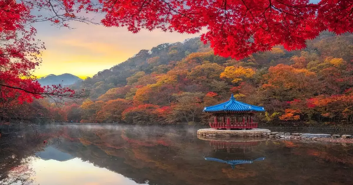 8D 6N Korea Autumn Edition