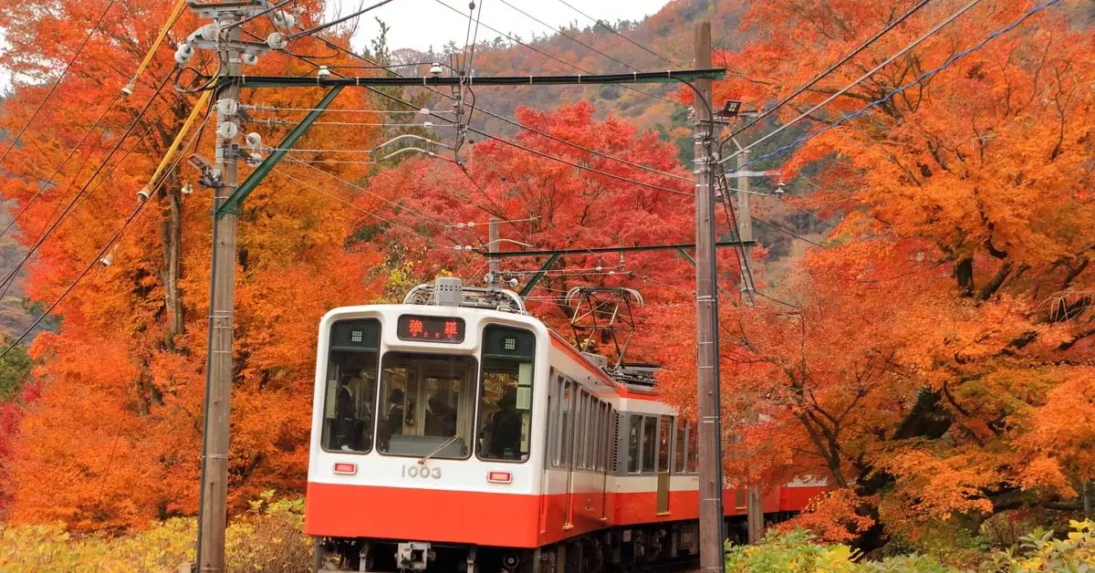 9D Tokyo Yamagata Autumn Rail Experience