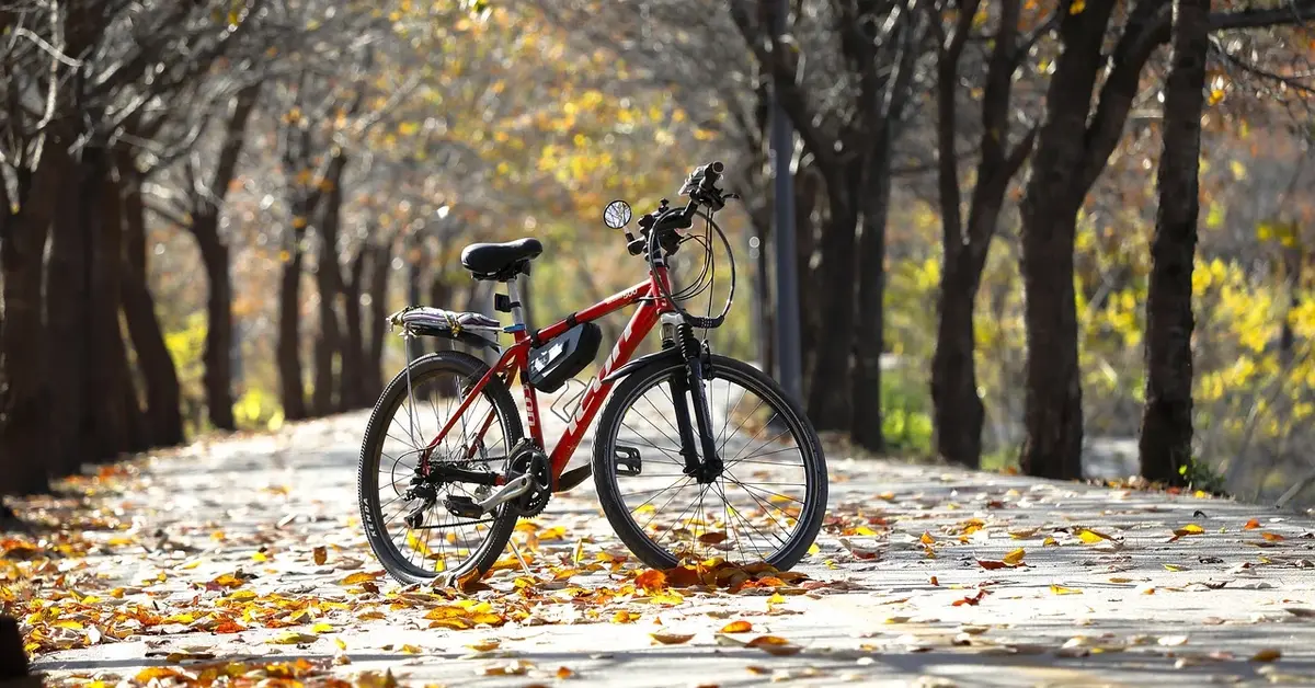 6D Cycling In South Korea Autumn Colours