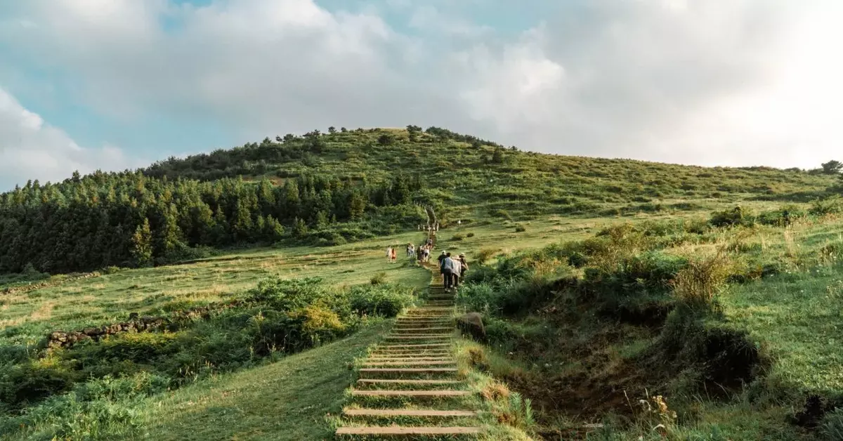 6D Jeju Natural Wellness & Hiking Retreat